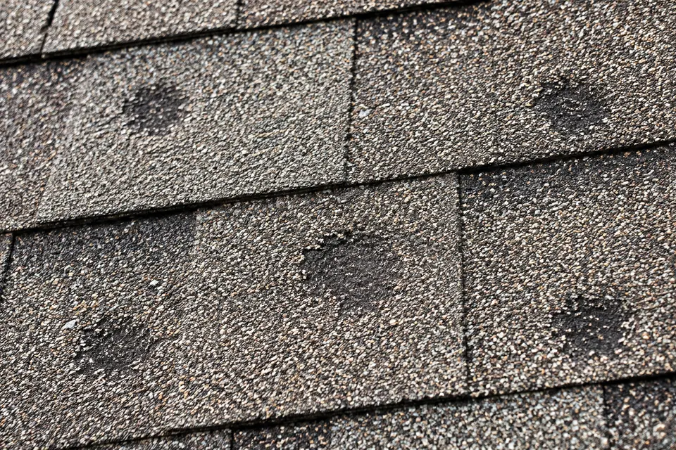Hail damage vs blistering: how to tell them apart